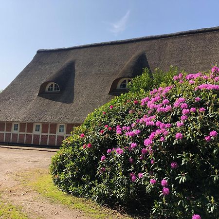 Ferienwohnungen Unter Den Eichen Stade Eksteriør bilde