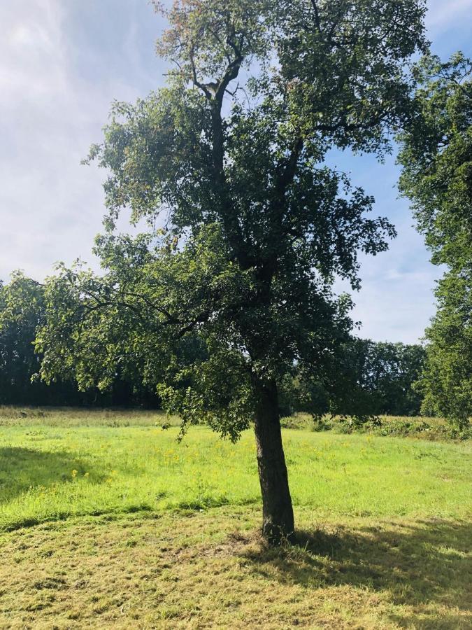 Ferienwohnungen Unter Den Eichen Stade Eksteriør bilde