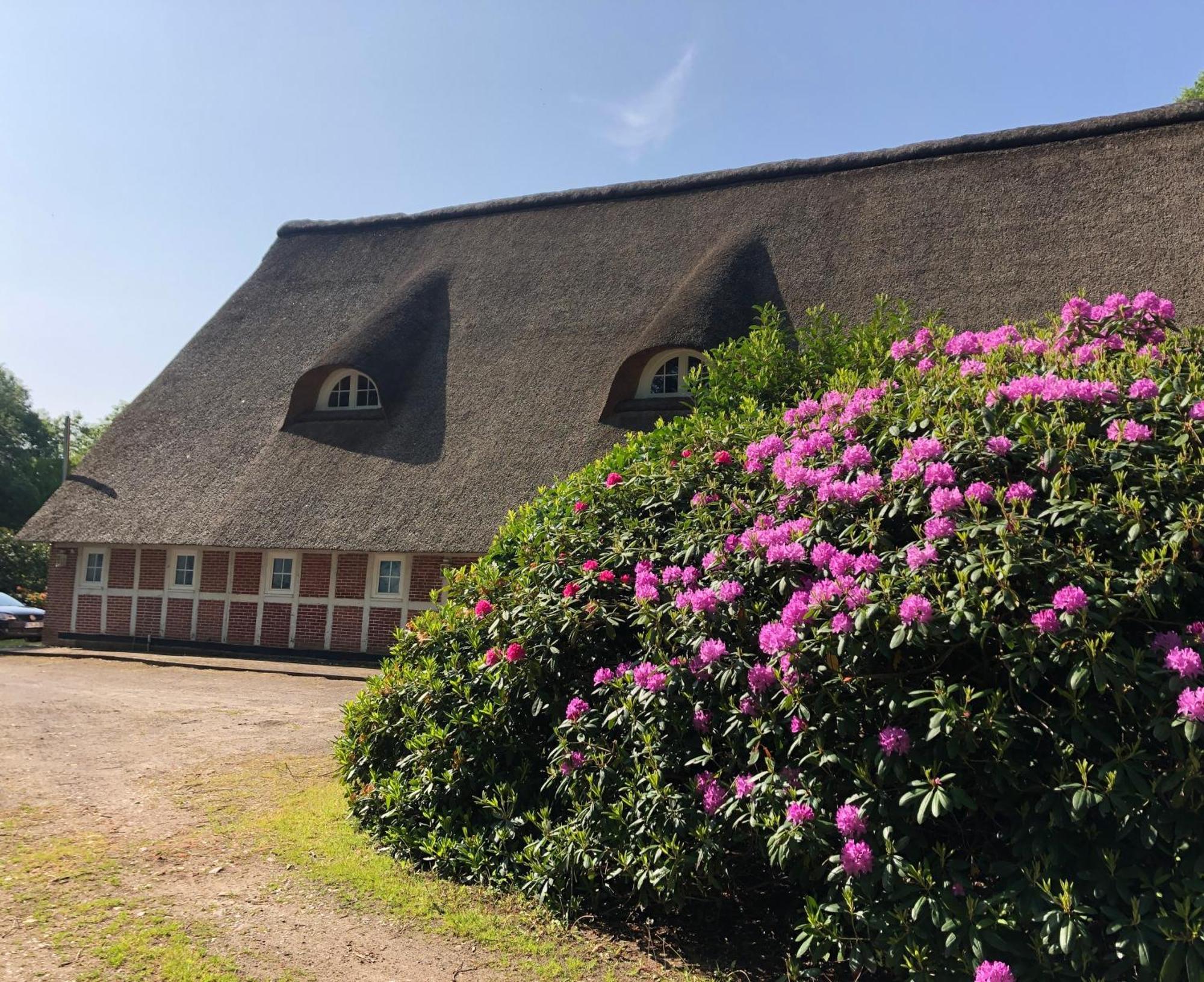 Ferienwohnungen Unter Den Eichen Stade Eksteriør bilde